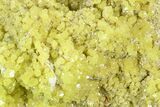 Sulfur Crystal Cluster on Matrix - Nevada #129750-2